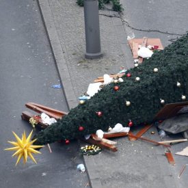 fallen-christmas-tree